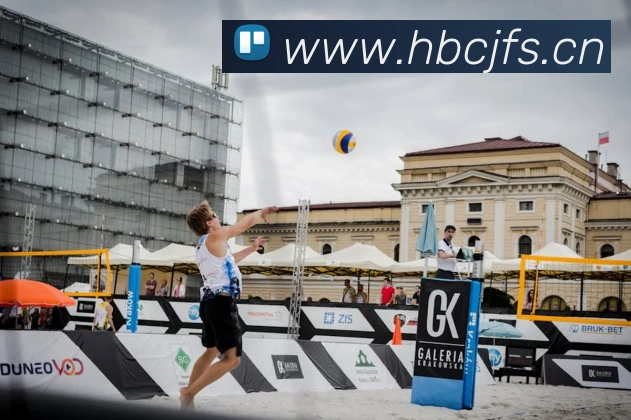 九游体育app官网入口网页发展历程